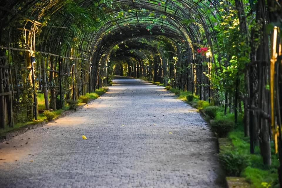 Bougainvillea Retreat & Spa Kaharpara Екстериор снимка